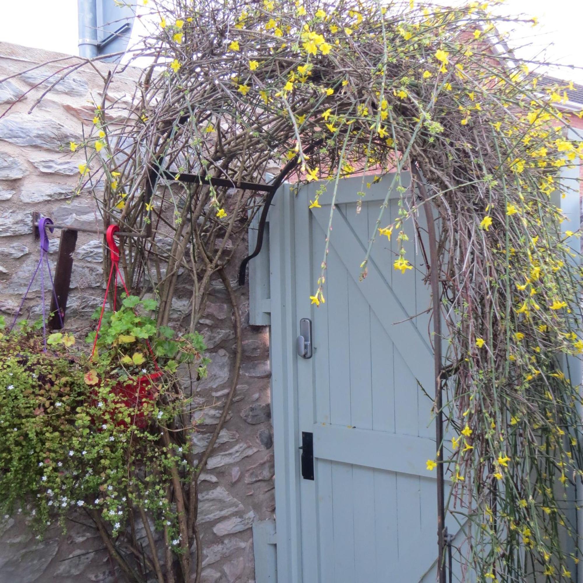 Frog Palace - Secure Parking-Outside Area-Topsham-Exeter-Beach-Chiefs-Wifi Exterior foto